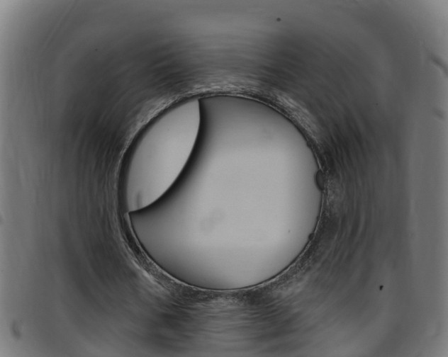 X0000097790578200803070937
