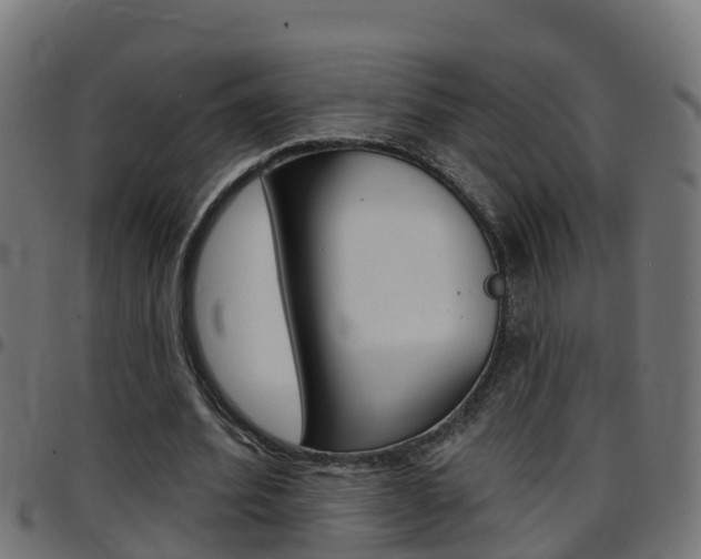 X0000097790580200803070937