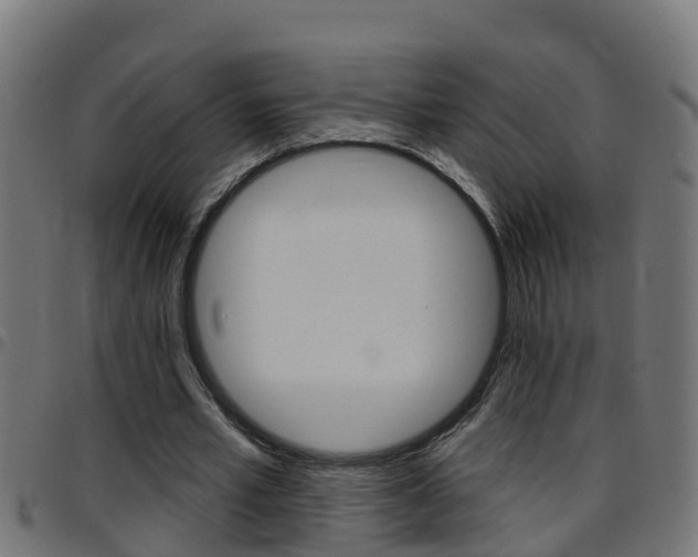 X0000097790581200803070937