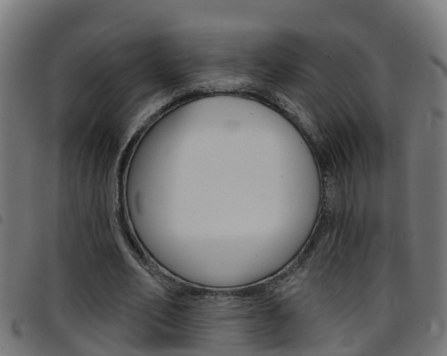 X0000097790582200803070937