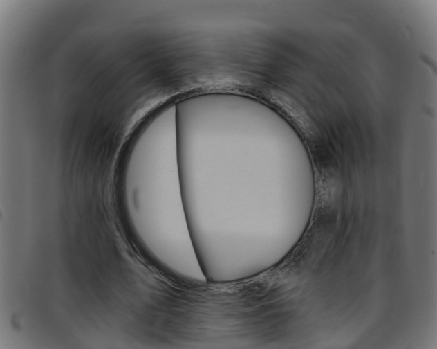 X0000097790583200803070937