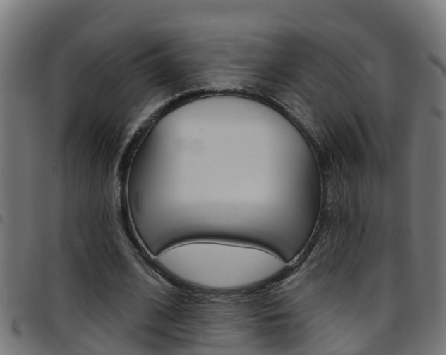 X0000097790584200803070937