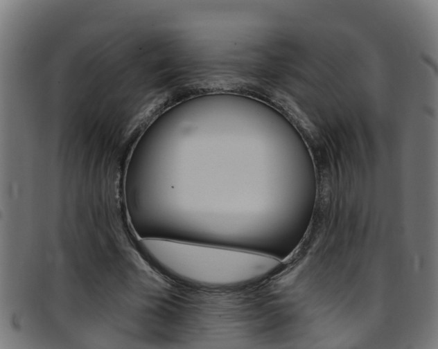 X0000097790585200803070937