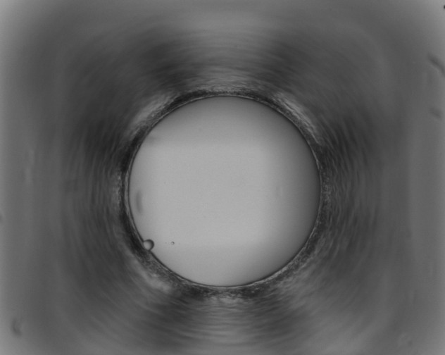 X0000097790586200803070937