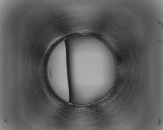 X0000097790587200803070937