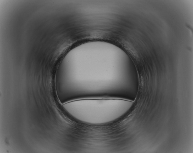 X0000097790588200803070937