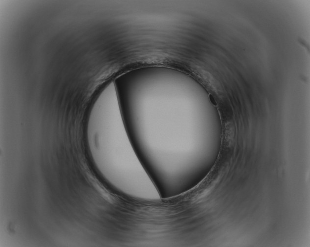 X0000097790589200803070937
