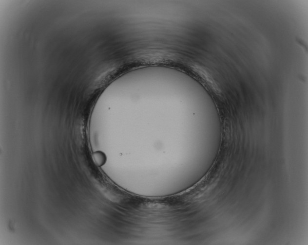 X0000097790590200803070937