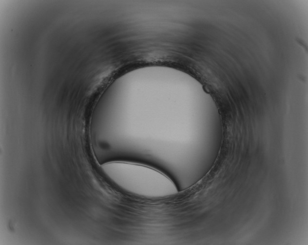X0000097790592200803070937