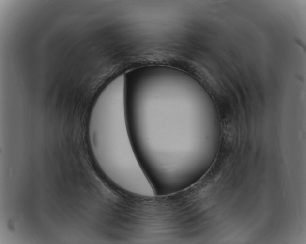 X0000097790593200803070937