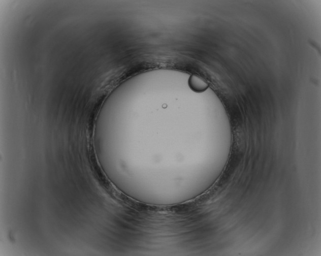 X0000097790594200803070937