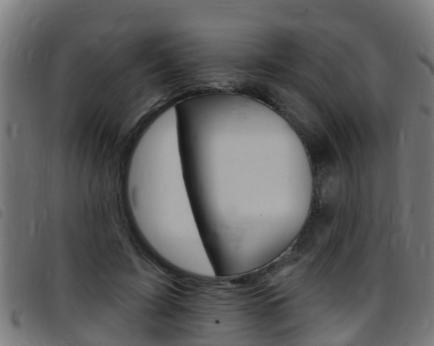 X0000097790595200803070937
