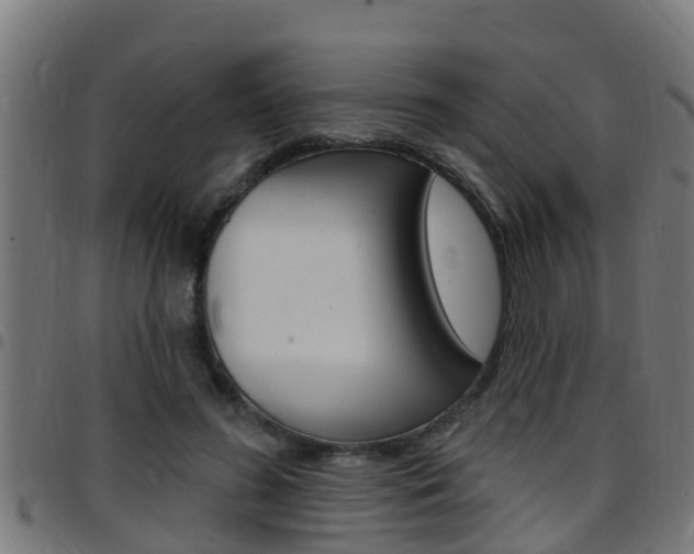 X0000097790596200803070937