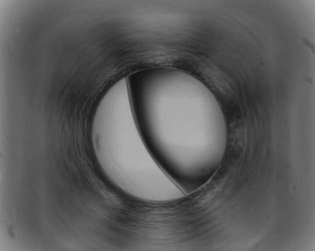 X0000097790597200803070937