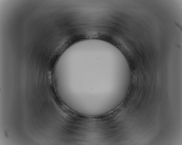X0000097790598200803070937