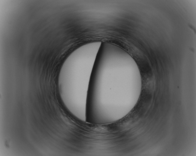 X0000097790599200803070937