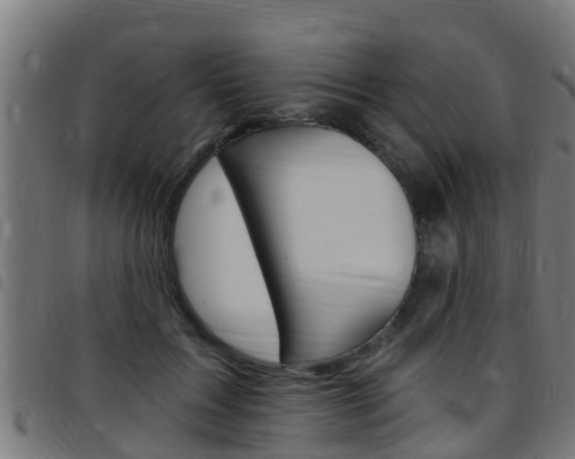 X0000097790603200803070937