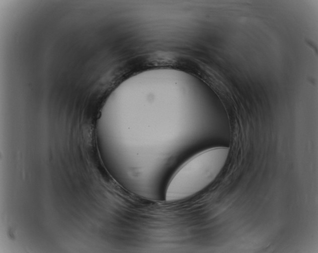 X0000097790604200803070937