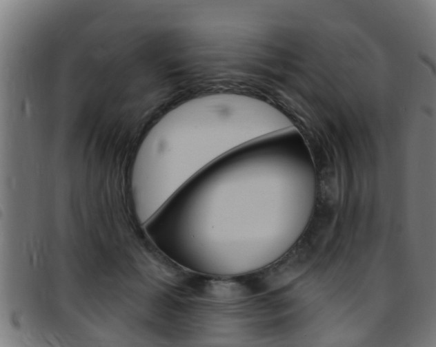 X0000097790605200803070937