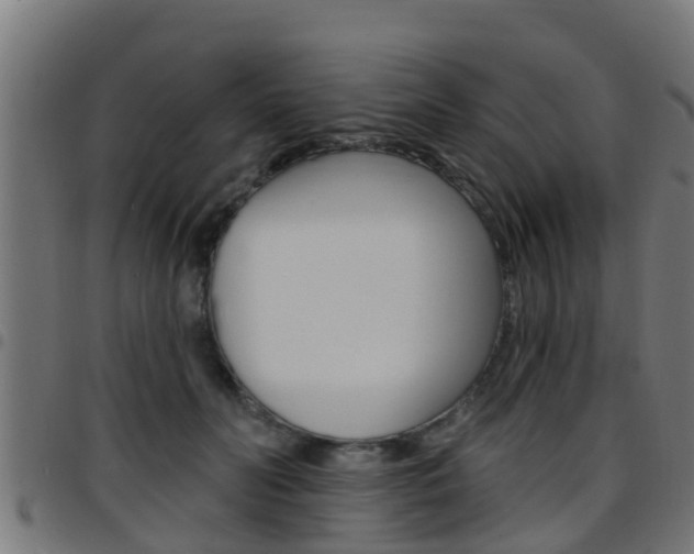 X0000097790606200803070937