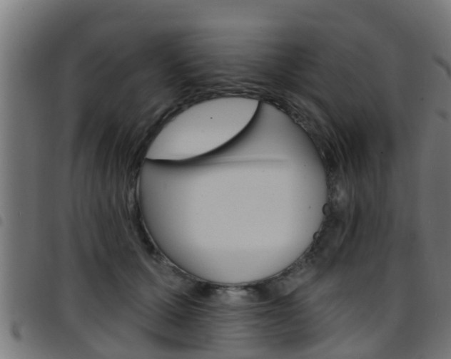 X0000097790607200803070937