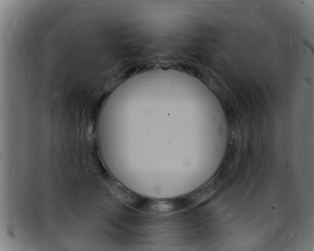 X0000097790610200803070937