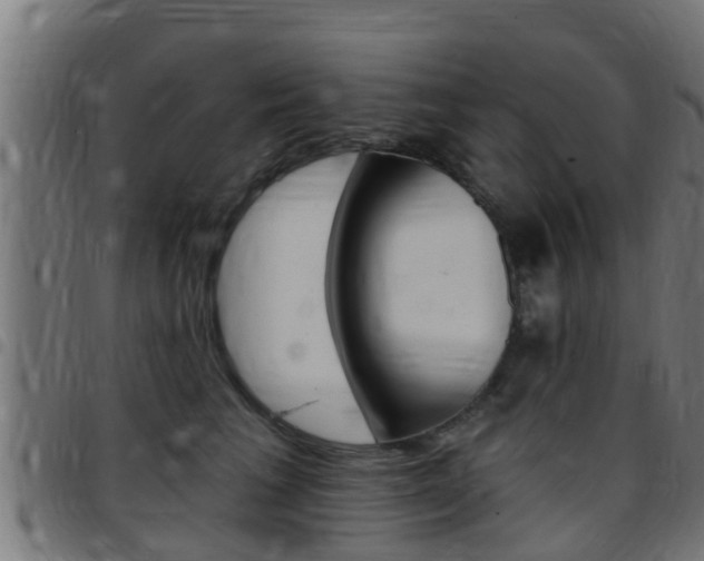 X0000097790613200803070937