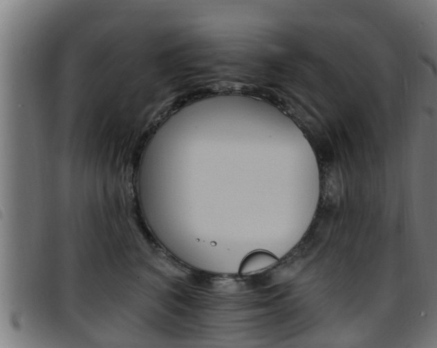X0000097790616200803070936