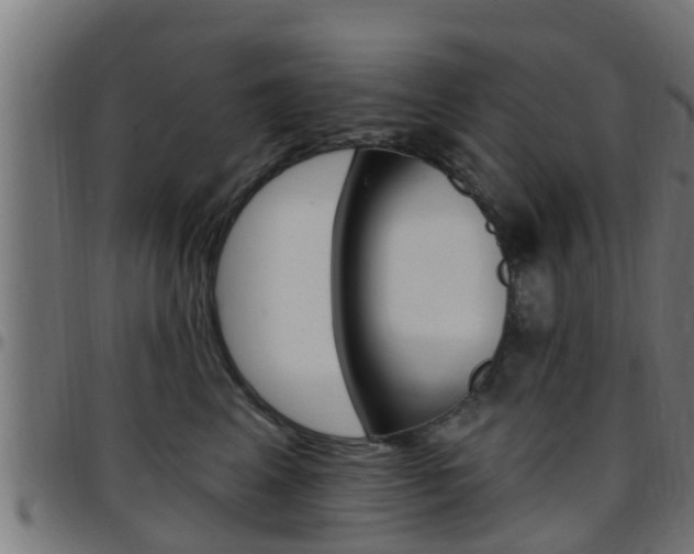 X0000097790617200803070936