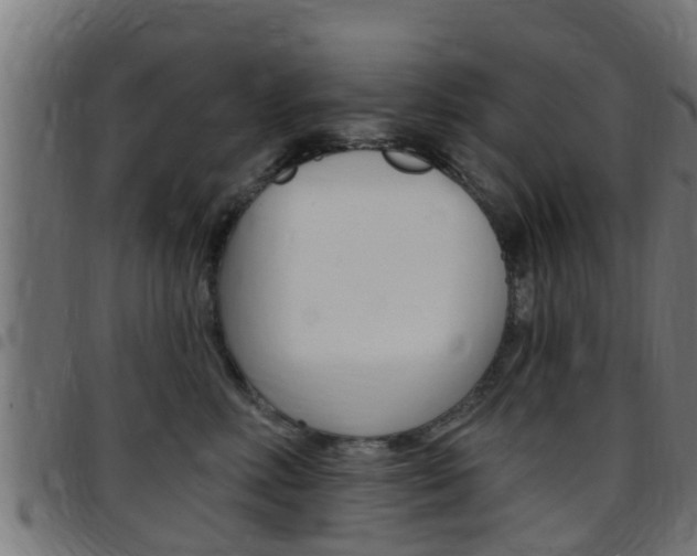 X0000097790618200803070936