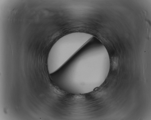 X0000097790619200803070936