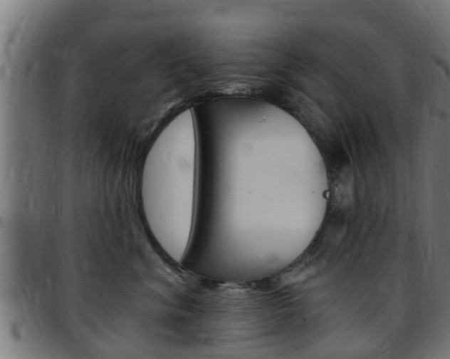 X0000097790620200803070936