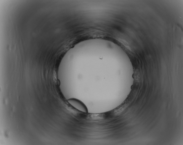 X0000097790622200803070936