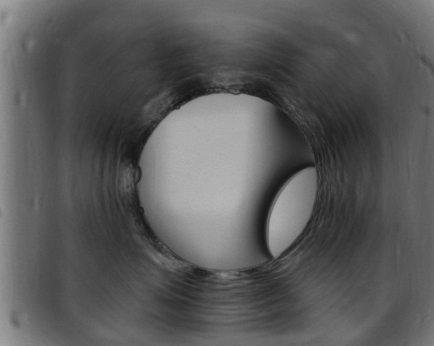 X0000097790623200803070936