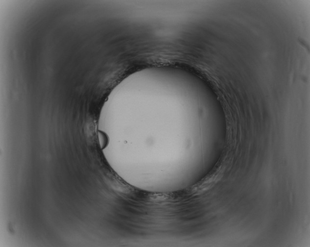 X0000097790624200803070936