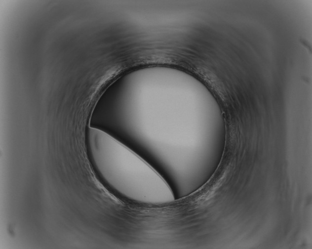 X0000097790625200803070936