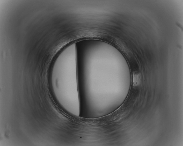 X0000097790627200803070936