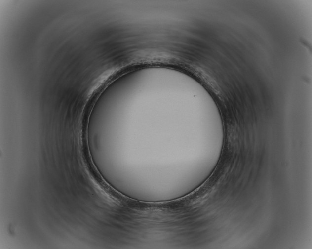 X0000097790629200803070936