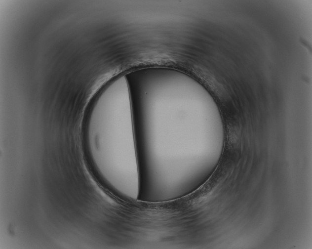 X0000097790630200803070936