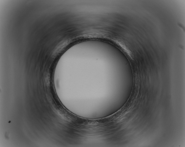 X0000097790631200803070936