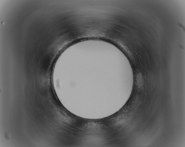 X0000097790632200803070936