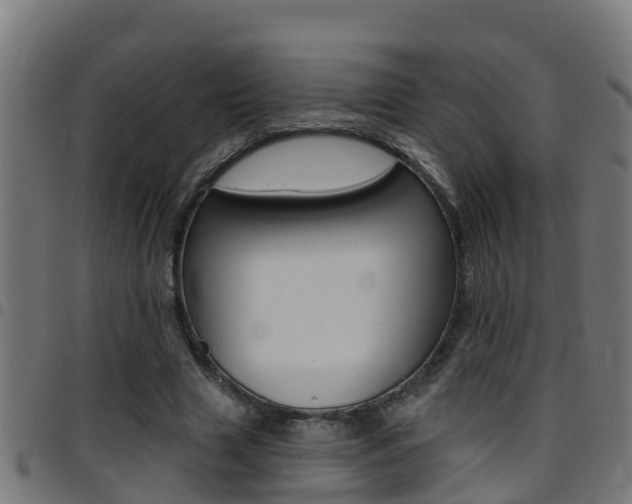 X0000097790633200803070936