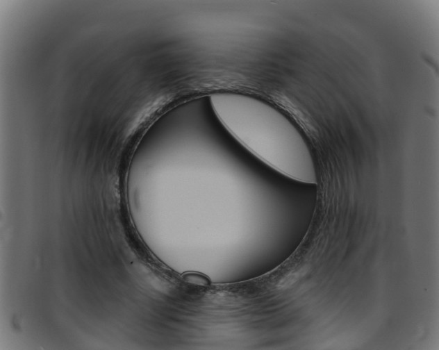 X0000097790634200803070936