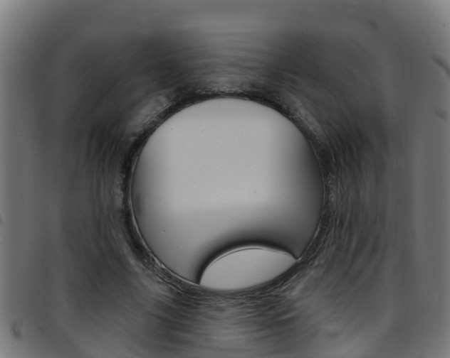 X0000097790635200803070936