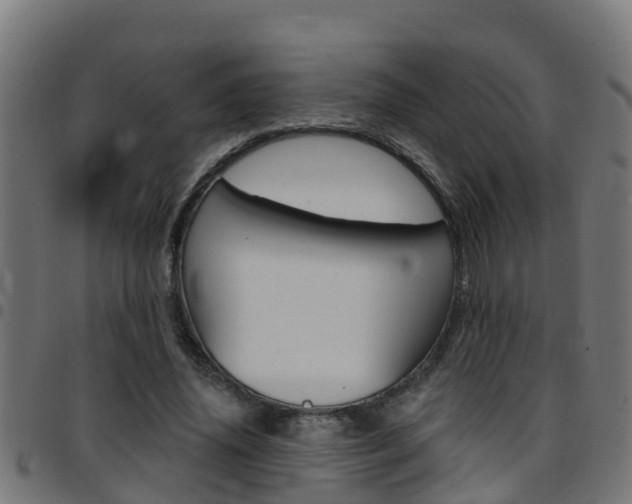 X0000097790636200803070936