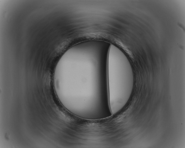 X0000097790637200803070936