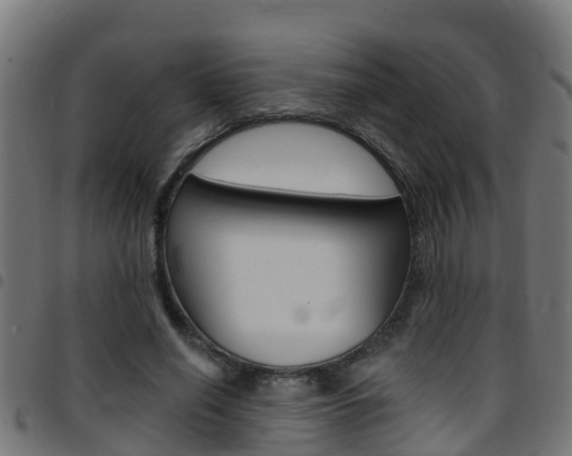 X0000097790638200803070936