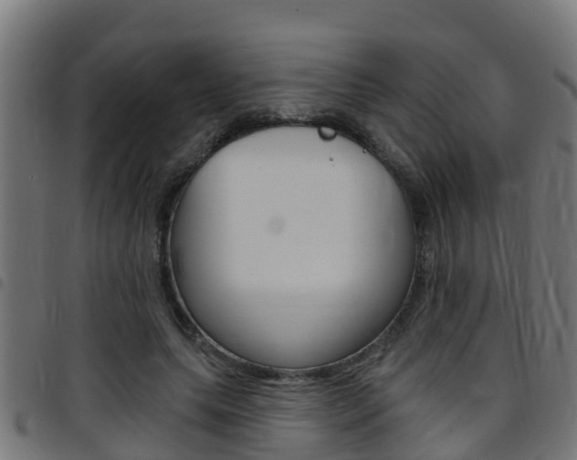 X0000097790639200803070936