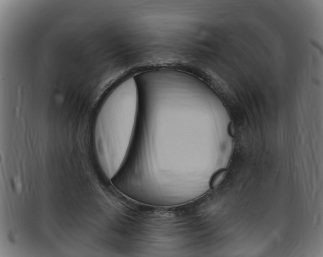 X0000097790640200803070936