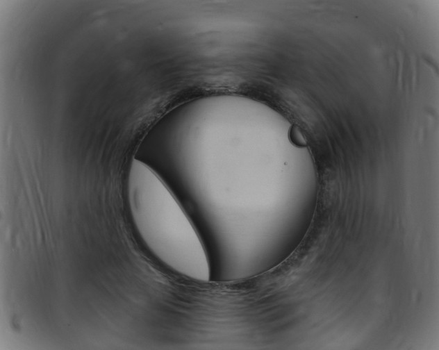 X0000097790641200803070936
